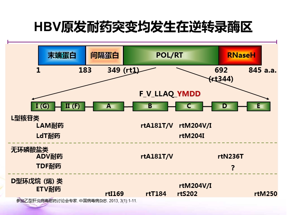 抗病毒治疗耐药机制PPT文档.ppt_第3页