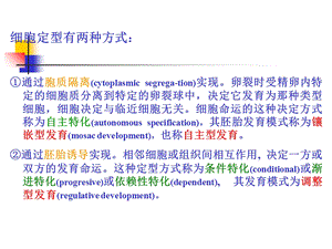 A第7章细胞的自主特化精选文档.ppt