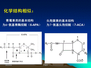 药理学课件第二十八章β内酰胺类抗生素文档资料.ppt