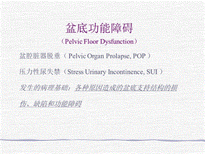 最新女性PFD的传统手术治疗PPT文档.ppt