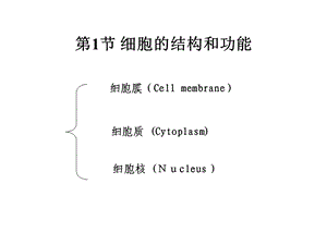 最新第1章遗传的细胞学基础PPT文档.ppt