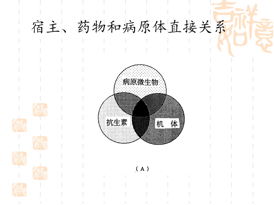 抗生素知识回顾1PPT文档.ppt_第3页