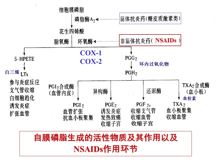 第十六章解热镇痛抗炎药文档资料.ppt_第1页