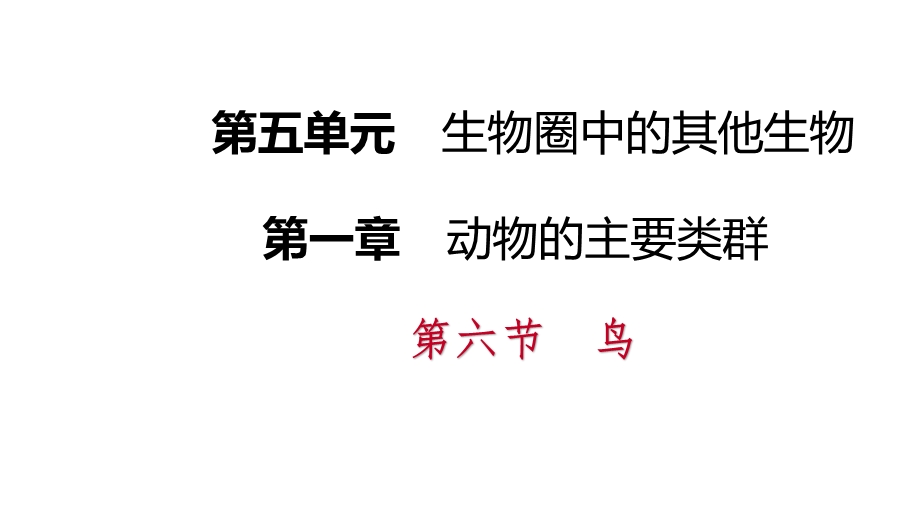 人教版八年级生物上册同步导学课件：5.1.6　鸟(共19张PPT).pptx_第1页