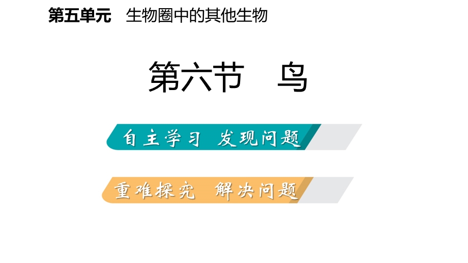 人教版八年级生物上册同步导学课件：5.1.6　鸟(共19张PPT).pptx_第2页