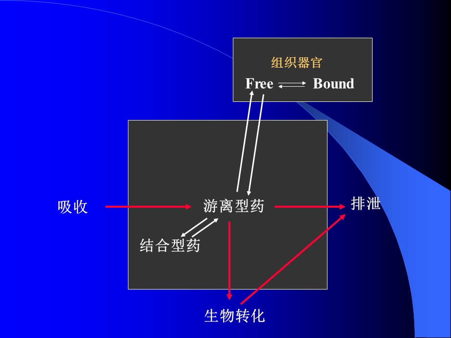 第三章机体对药物的作用药动学名师编辑PPT课件.ppt_第3页