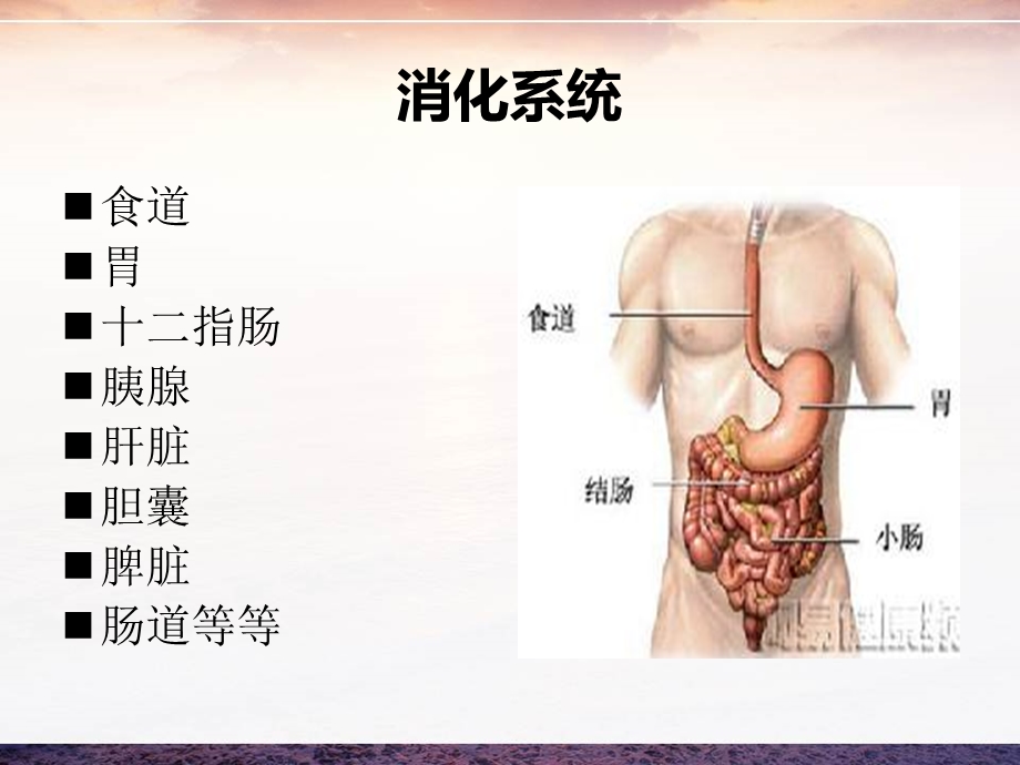 最新消化系统疾病病例分析PPT文档.ppt_第1页