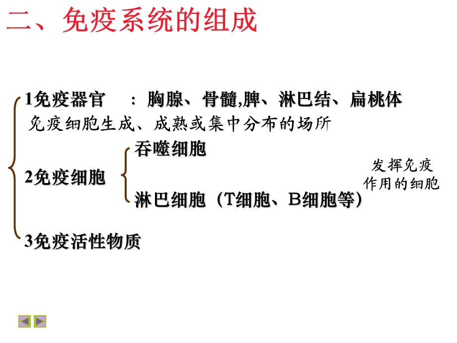 简述淋巴细胞的起源和分化,解释淋巴文档资料.ppt_第3页