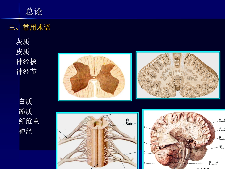 最新神经系统药学13PPT文档.ppt_第3页