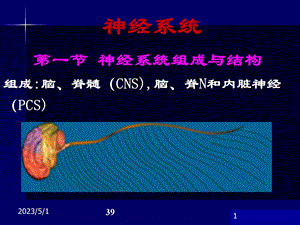 最新神经系统药学13PPT文档.ppt