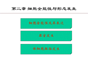 第02章细胞全能性1文档资料.ppt