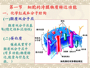 第三章细胞的基本功能新文档资料.ppt