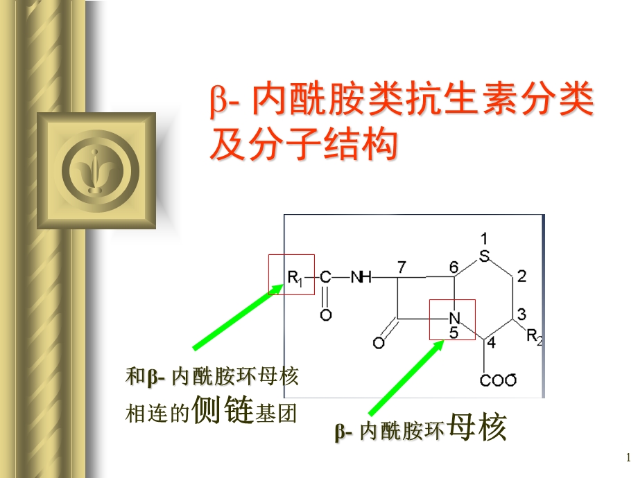 最新：β 内胺类抗生素课件文档资料.ppt_第1页