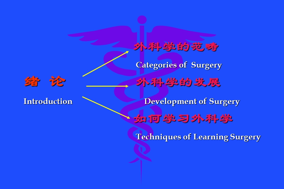 外科学第章绪论文档资料.ppt_第1页