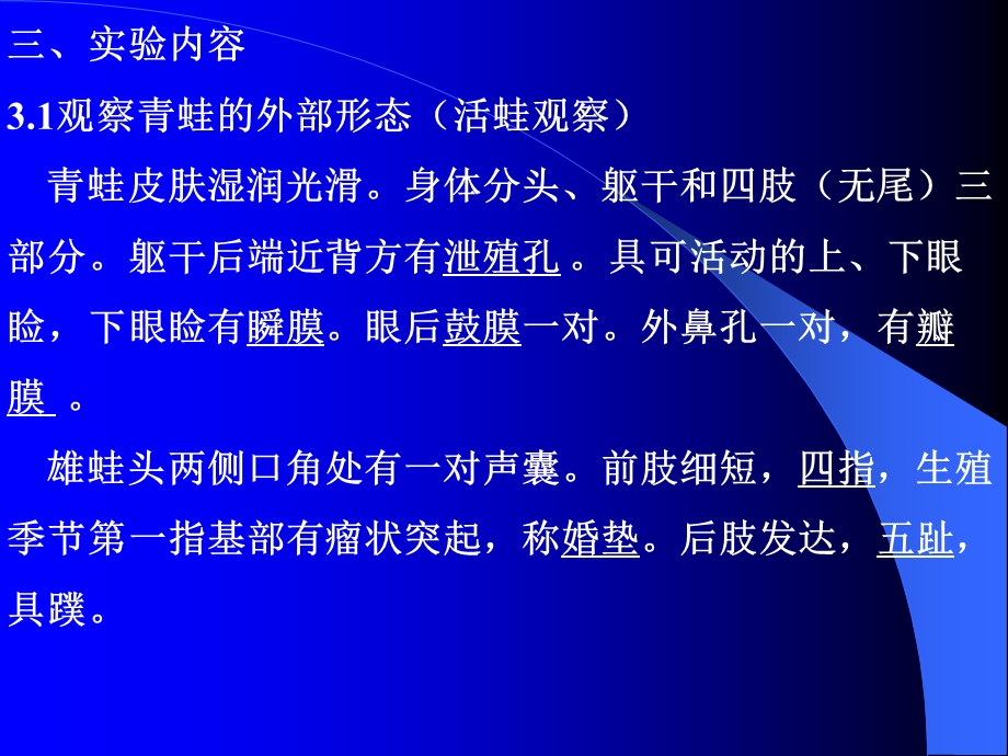 实验七青蛙的外形及内部解剖PPT文档.ppt_第2页