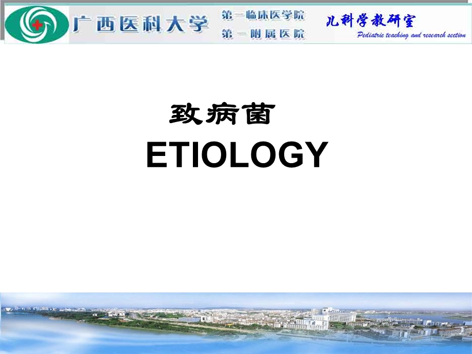 刘敏专科化脑精选文档.ppt_第3页