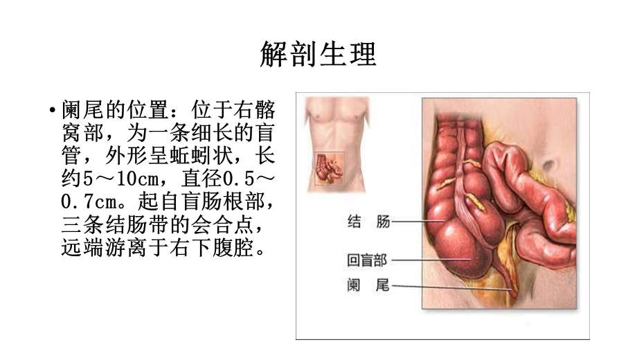 最新急性阑尾炎病人的护理PPT文档.pptx_第3页