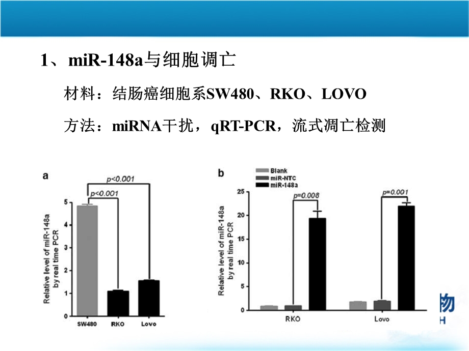mir148对结肠直肠癌的细胞凋亡调控百替生物PPT课件.ppt_第3页