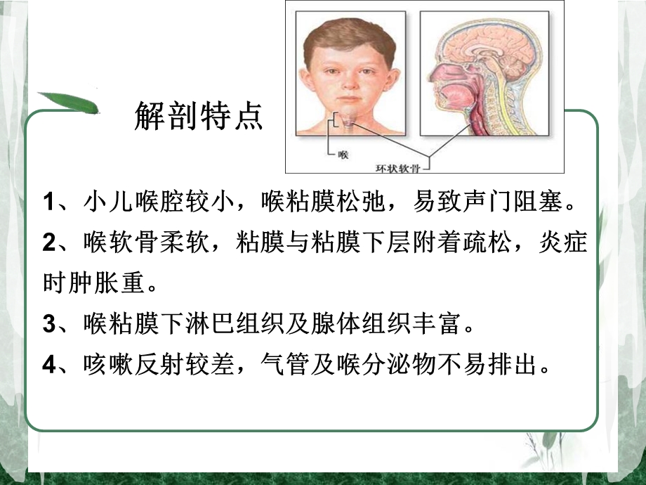 最新急性感染性喉炎王翠翠PPT文档.ppt_第2页