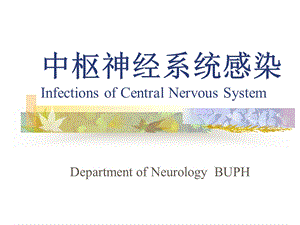 最新中枢神经系统感染进修医生ppt课件PPT文档.ppt