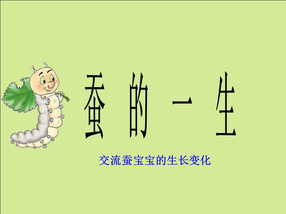 [三年级其它课程]蚕的生长变化.ppt_第2页