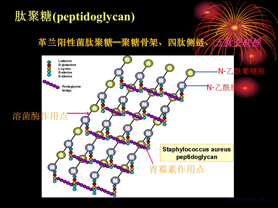 抗感染中国专家共识.ppt_第2页