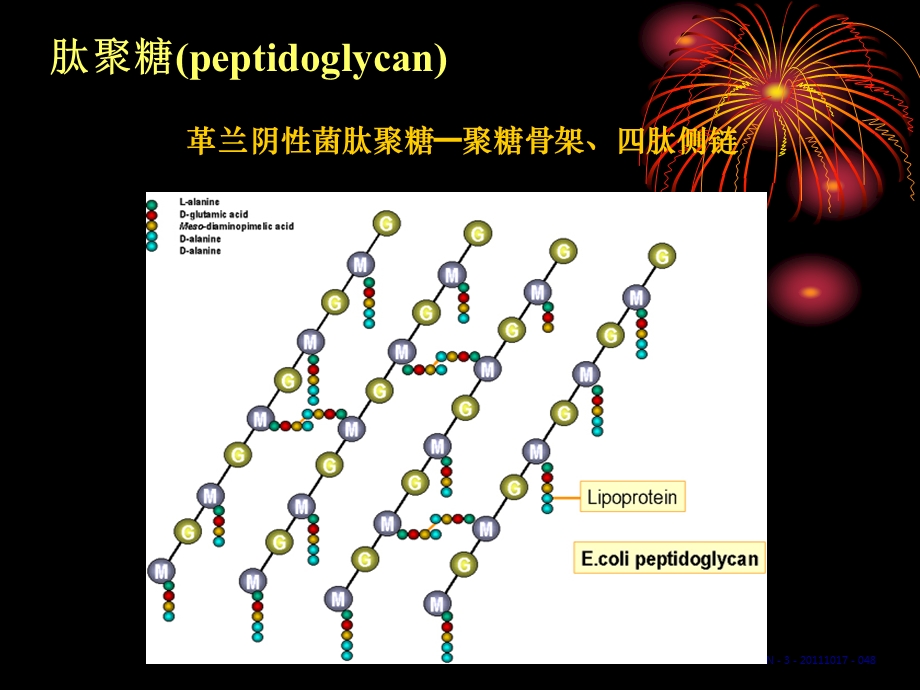 抗感染中国专家共识.ppt_第3页