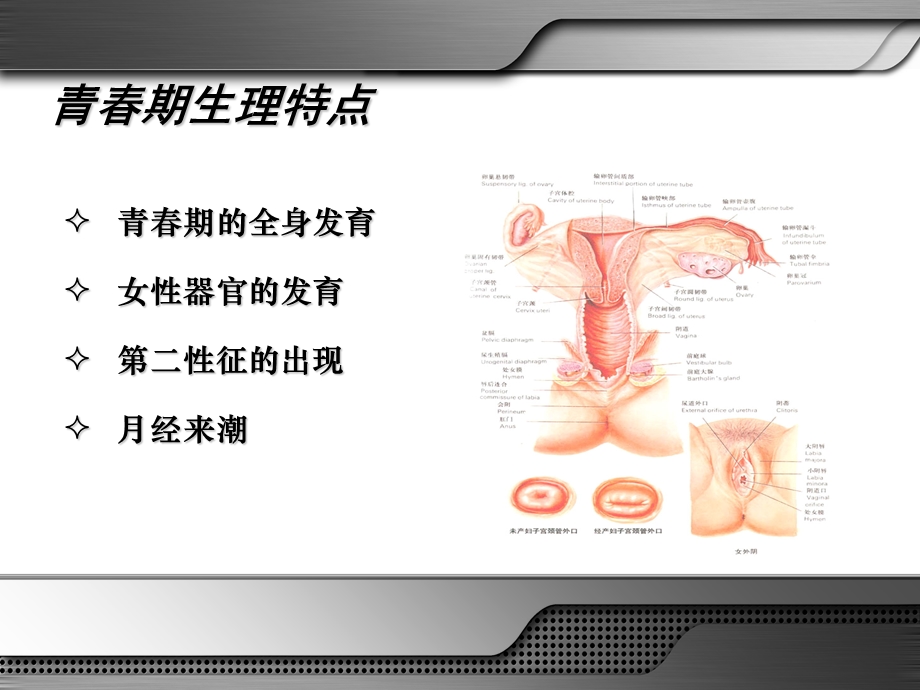 常见妇科疾病的诊治及青期性教育吕杰强ppt课件PPT文档.ppt_第3页