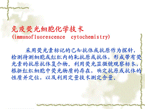 免疫荧光细胞化学技术PPT文档.ppt