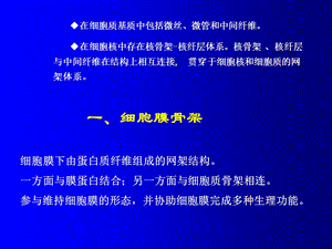 6细胞骨架PPT文档资料.ppt