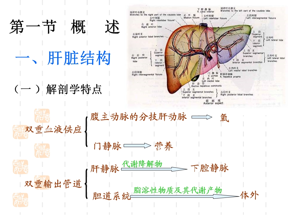 专13肝胆疾病的检验PPT文档资料.ppt_第2页