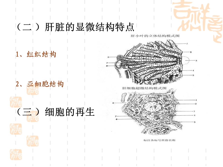 专13肝胆疾病的检验PPT文档资料.ppt_第3页