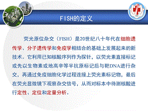 FISH技术在血液肿瘤中的应用精选文档.ppt