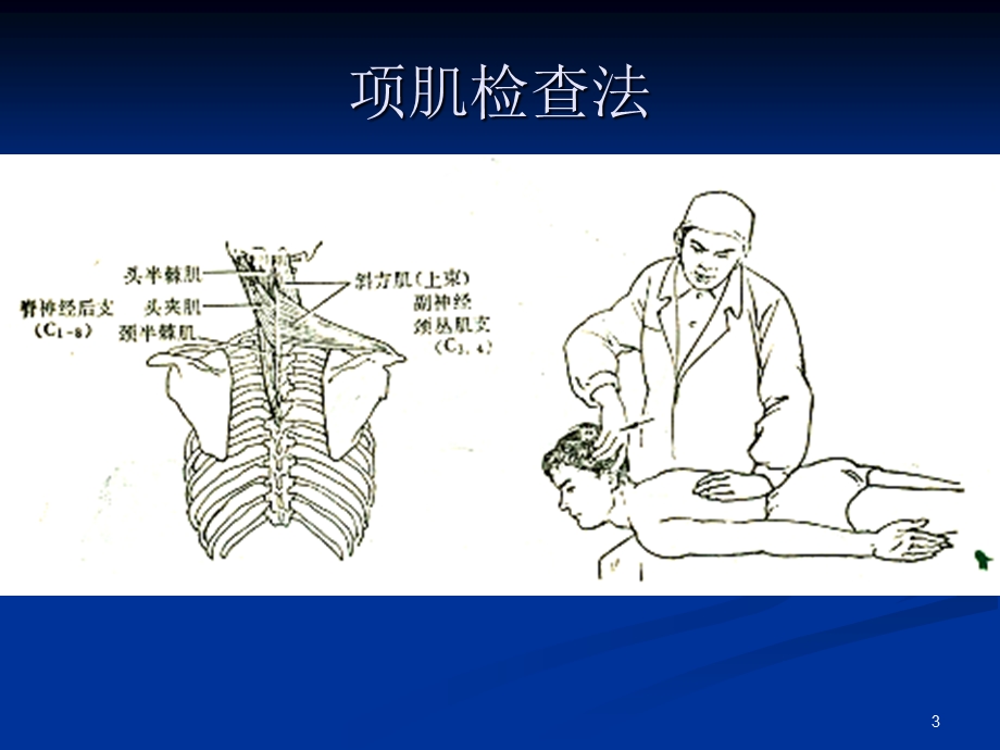 最新骨科临床检体PPT文档.ppt_第3页