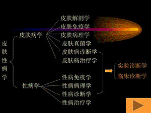 皮肤性病学1文档资料.ppt