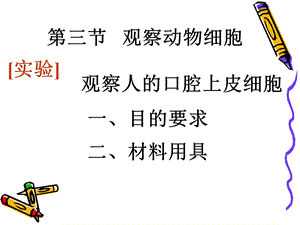 第三节观察动物细胞名师编辑PPT课件.ppt