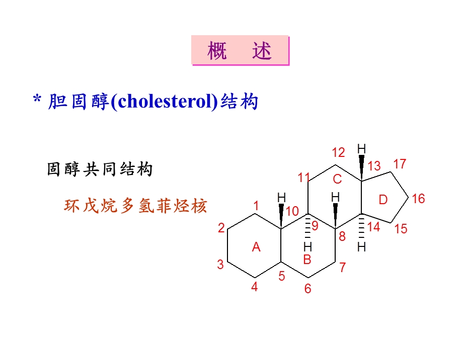 胆固醇代谢、脂蛋白文档资料.ppt_第1页