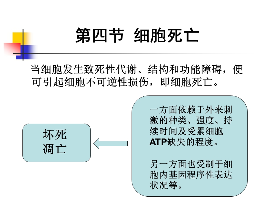 最新：病理学坏死高校精品ppt课件文档资料.ppt_第1页