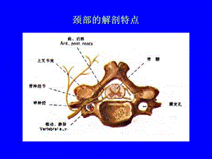 最新：颈椎病分析课件文档资料.ppt