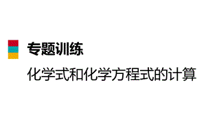 人教版九年级化学上册专题训练课件：化学式和化学方程式的计算(共21张PPT).pptx