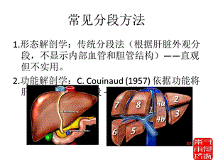 最新肝脏正常解剖及检查方法ppt课件PPT文档.ppt