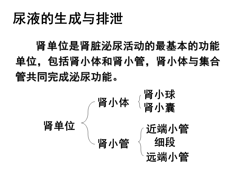 护理本尿液分析ppt课件文档资料.ppt_第3页