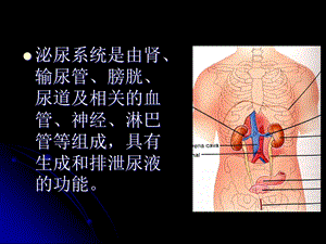 最新泌尿系感染总论PPT文档.ppt