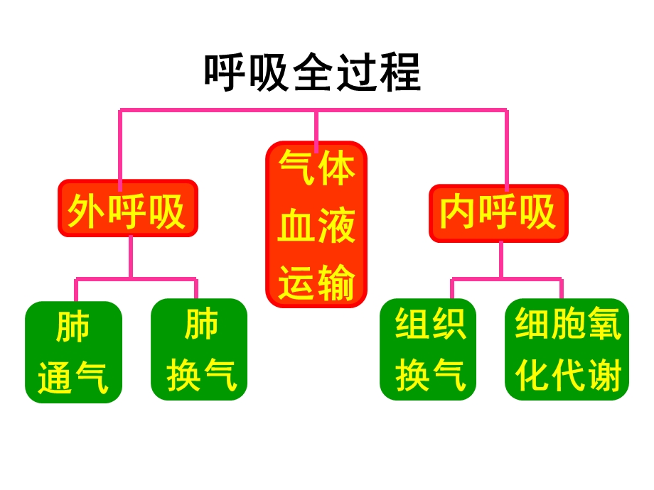 最新：病理生理学网络课件第15章呼吸功能不全课件文档资料.ppt_第2页