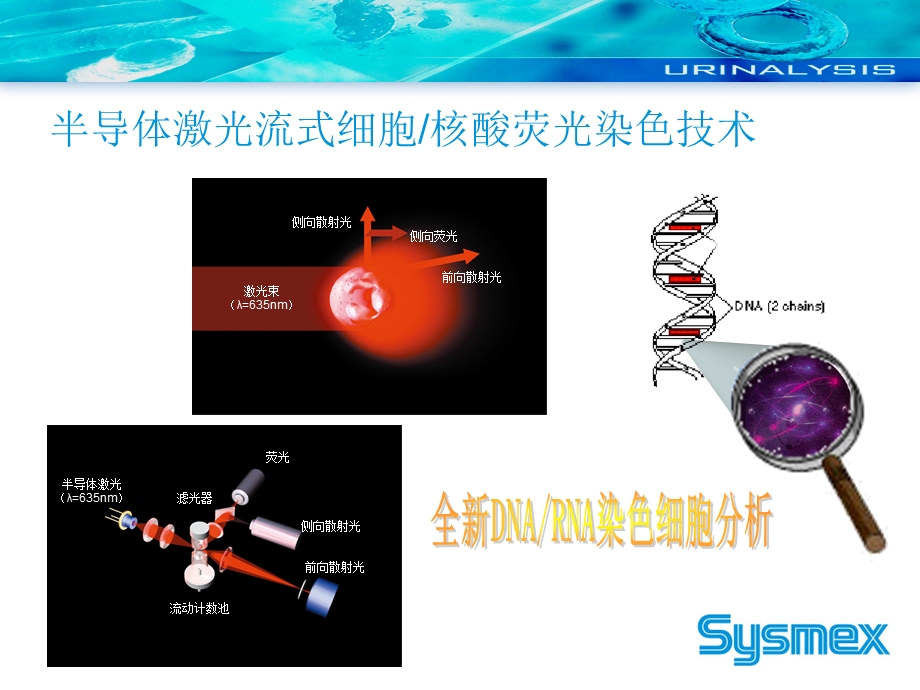 最新：UF1000i 产品与临床应用培训课件文档资料.ppt_第3页