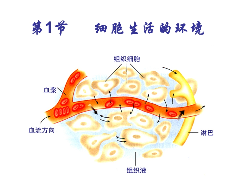 生物第1节细胞生活的环境精选文档.ppt_第1页