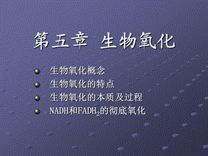 第五章生物氧化精品PPT课件名师编辑PPT课件.ppt