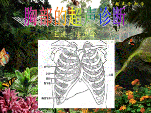 最新超声诊断学14胸部PPT文档.ppt