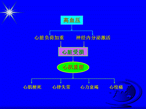 最新：北京版高血压对心脏损害与治疗对策文档资料.ppt