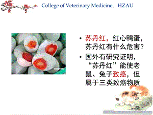 8第三章肿瘤tumorPPT文档资料.ppt